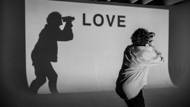 kamiswisfap profile summary overview