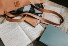 masquepet product insights overview