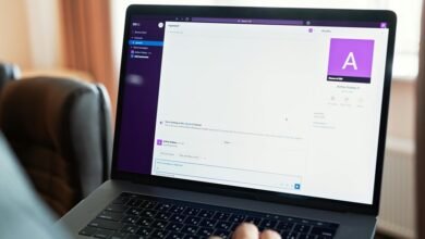 profile overview summary insights