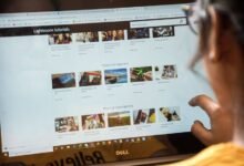 a complete domain guide