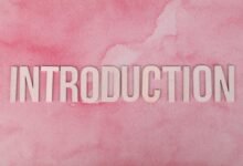 guide for 2148886941 beginner friendly