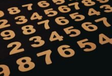 why 6822404078 worth understanding